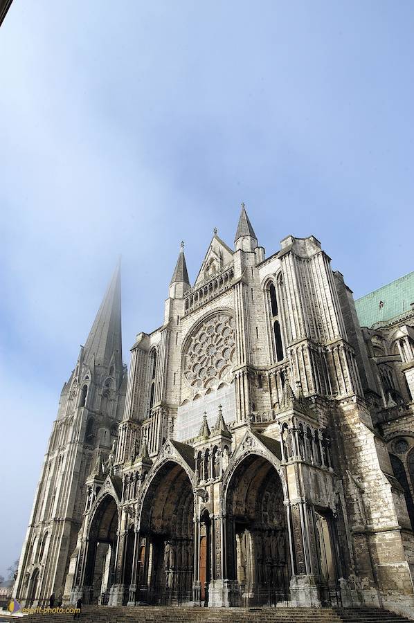 Nom de l'image : D1107496-nef-01_(c)Norbert-JUNG — Description :